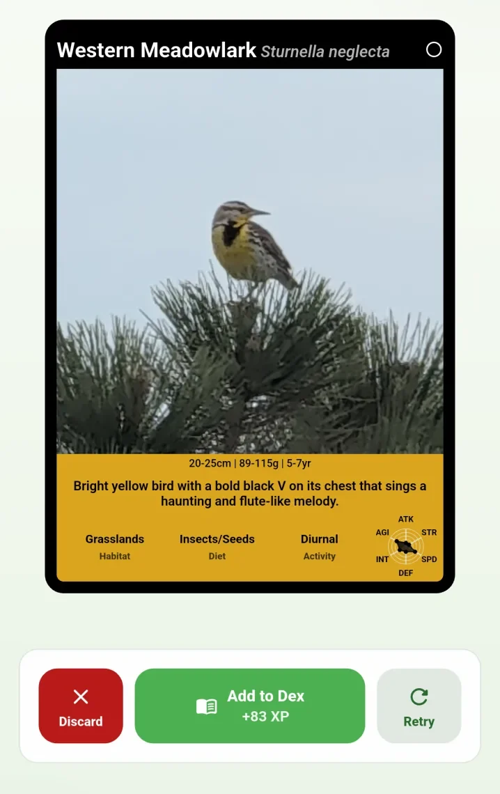 Collected species card in the Wildcard Dex collection