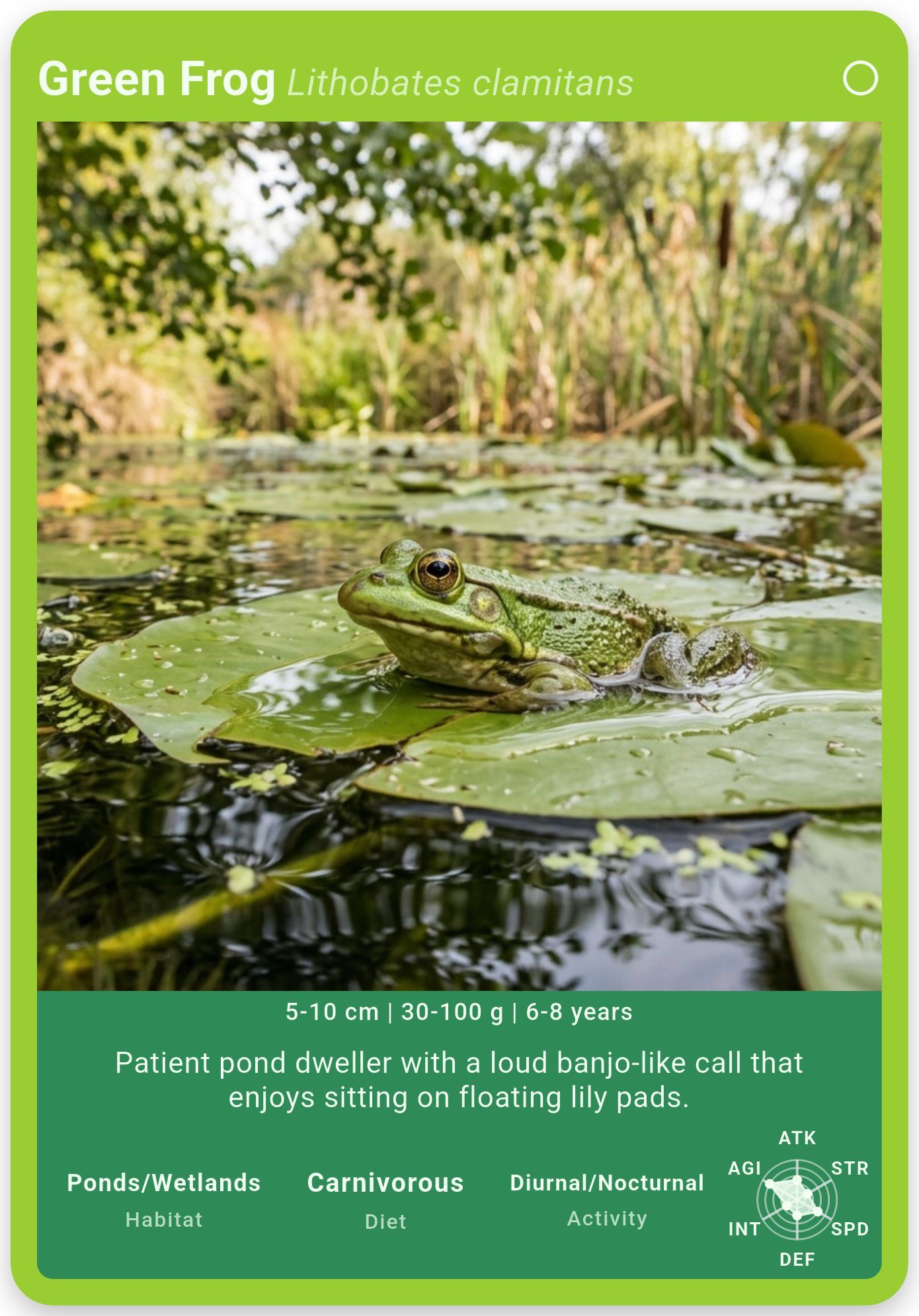 Wildcard Dex green frog card