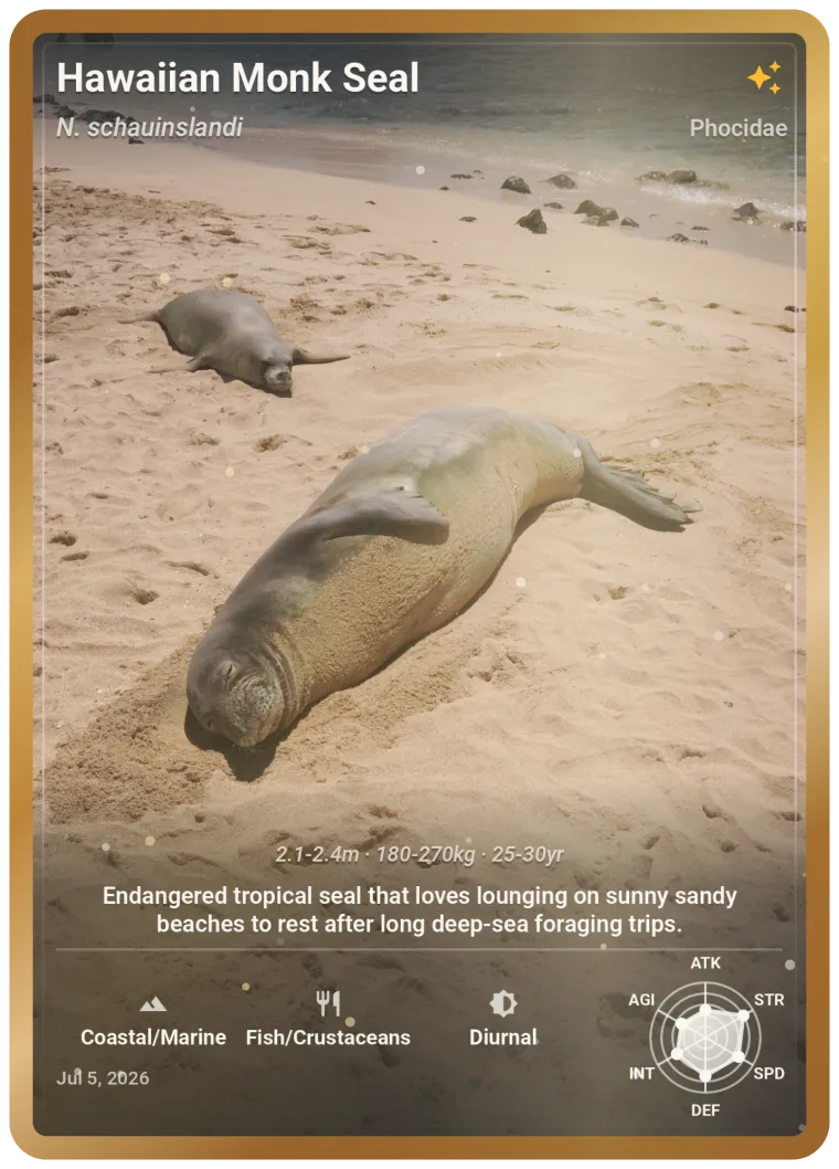 Hawaiian Monk Seal, Legendary card