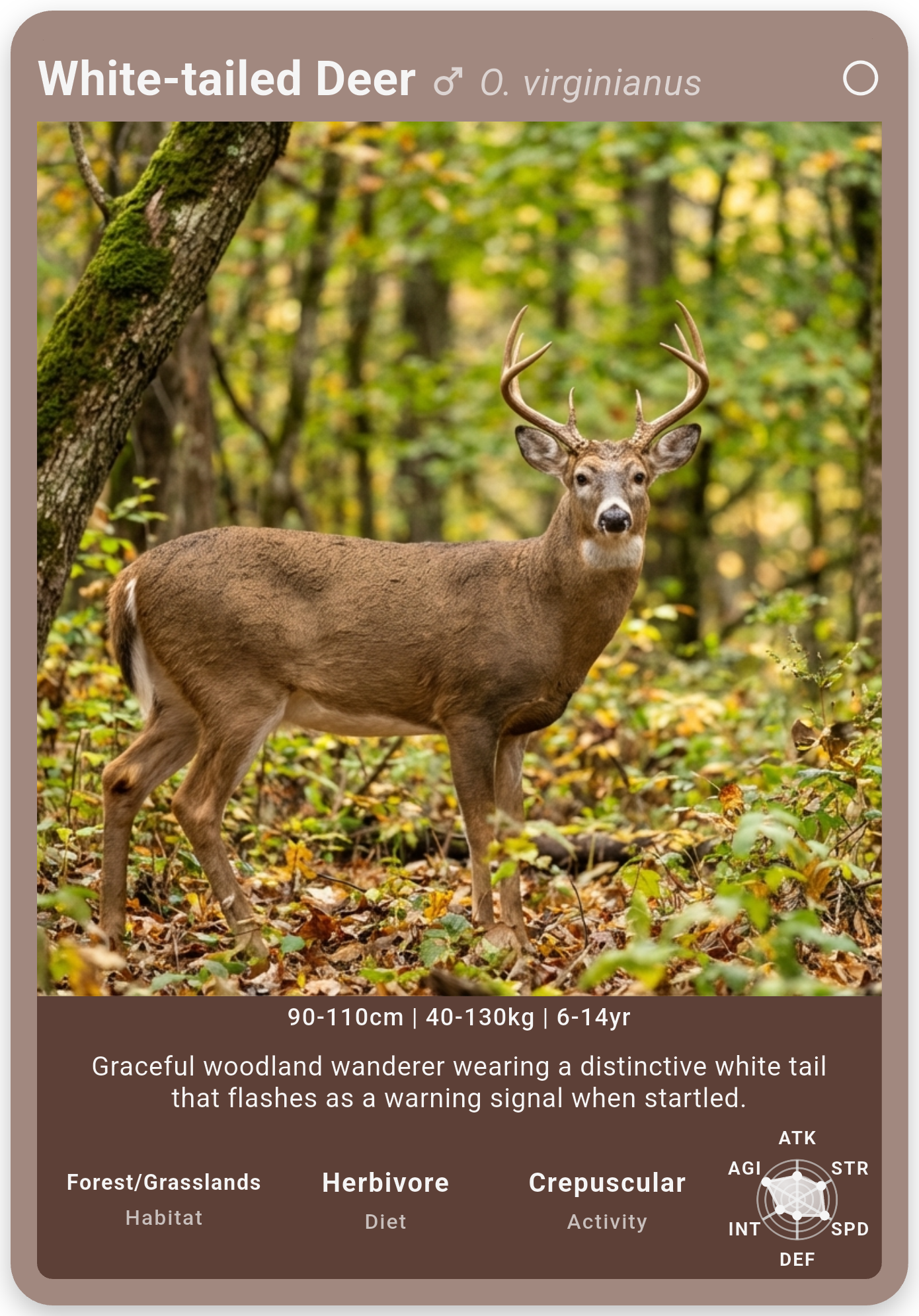 Wildcard Dex white-tailed deer card